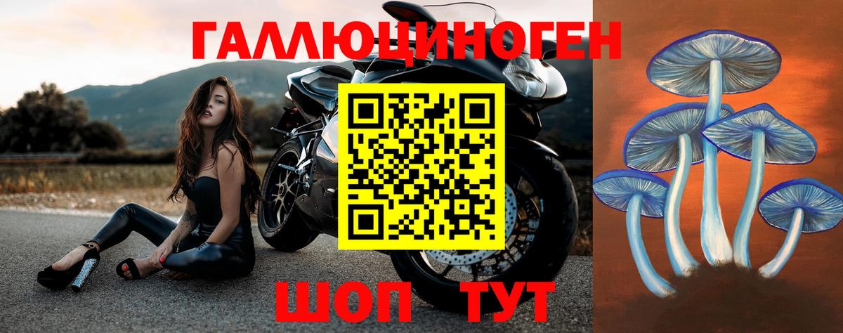 Воткинск  Псилоцибиновые грибы ЛСД  Вход с VPN 